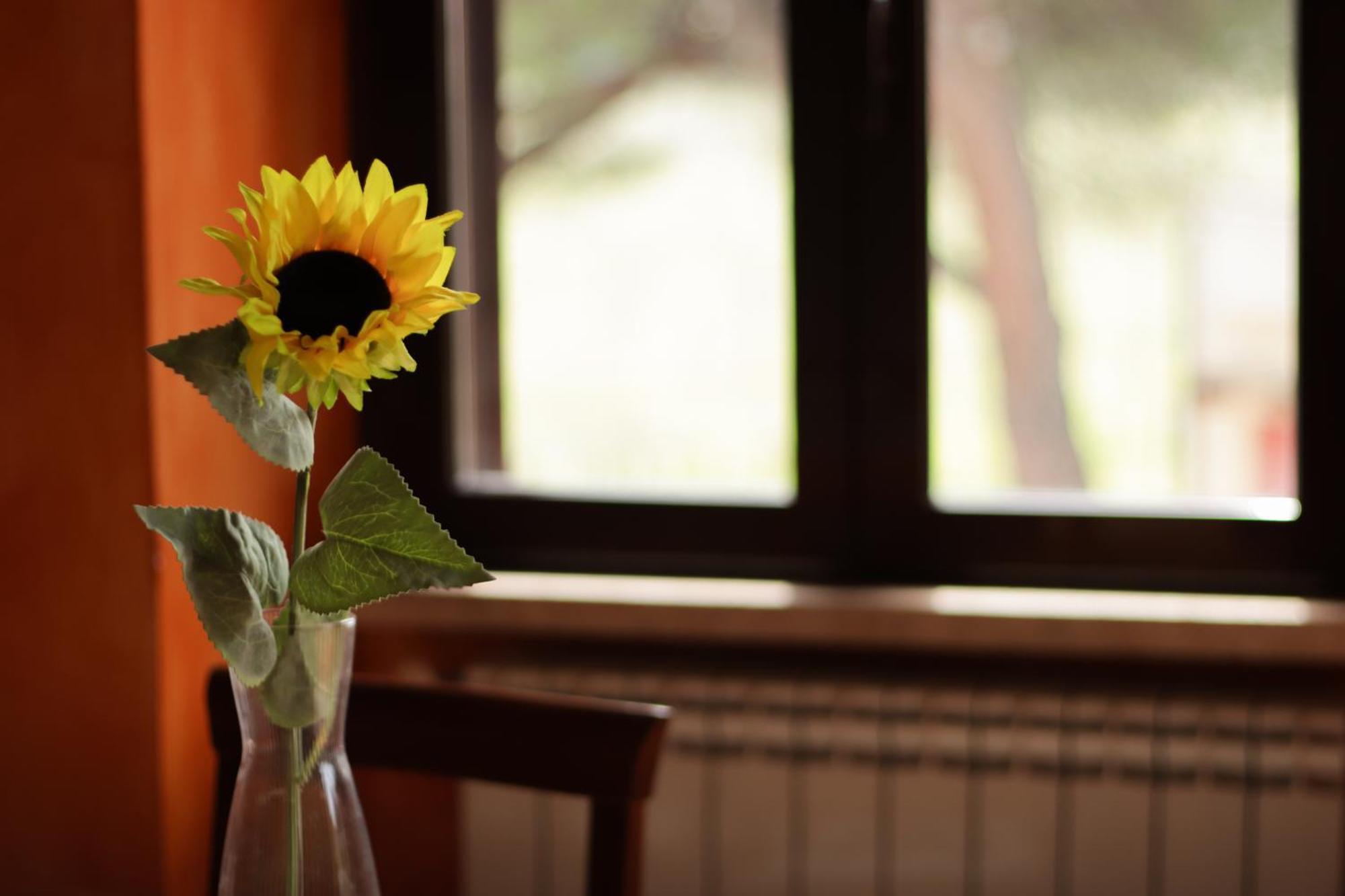 La Casa Dei Girasoli Holiday home *